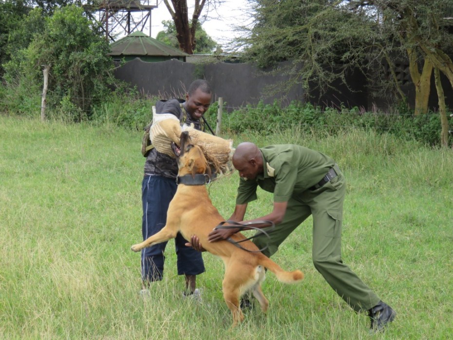 UNADJUSTEDNONRAW_thumb_5c20