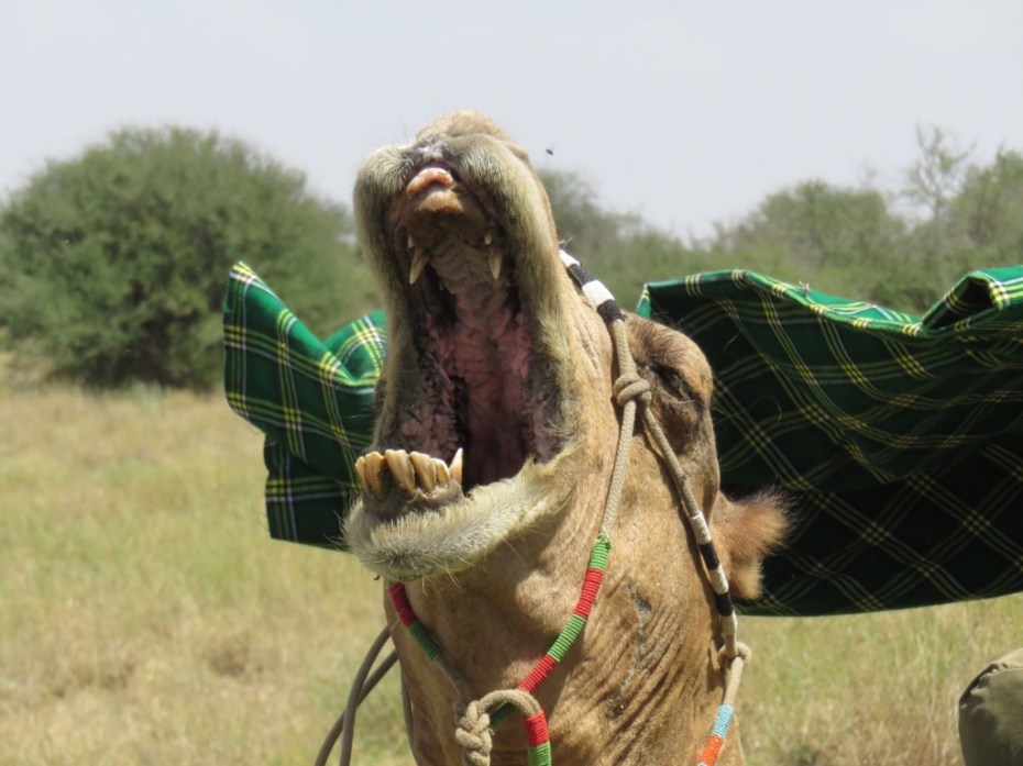 UNADJUSTEDNONRAW_thumb_5c2e