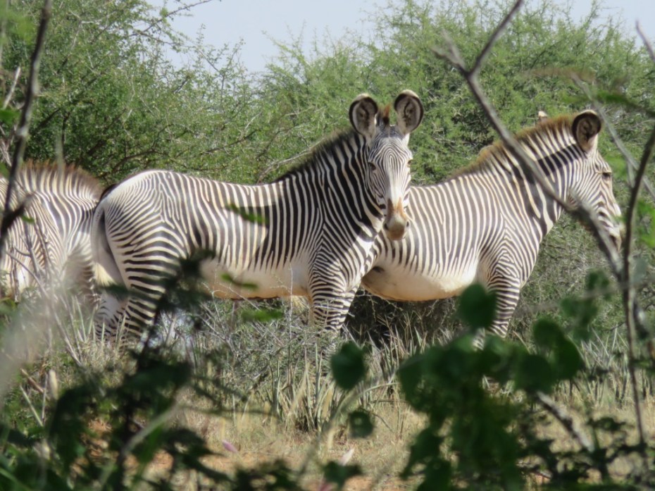 UNADJUSTEDNONRAW_thumb_5c31