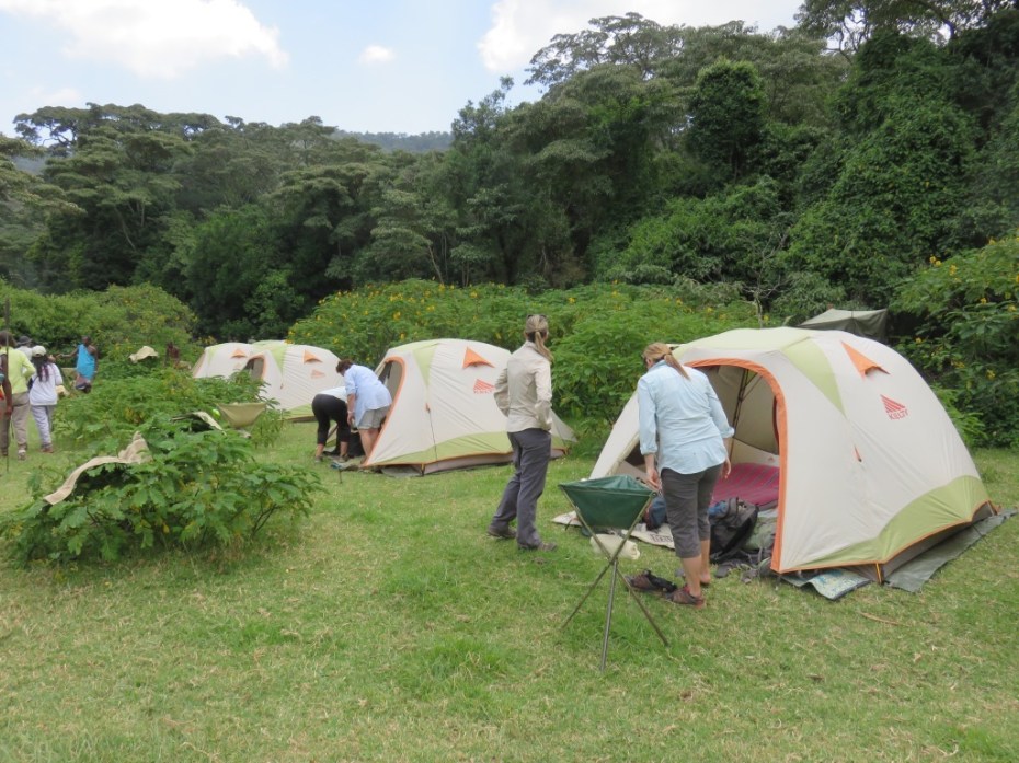 UNADJUSTEDNONRAW_thumb_5c3d