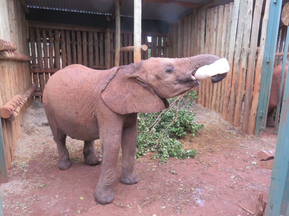 UNADJUSTEDNONRAW_thumb_5c42